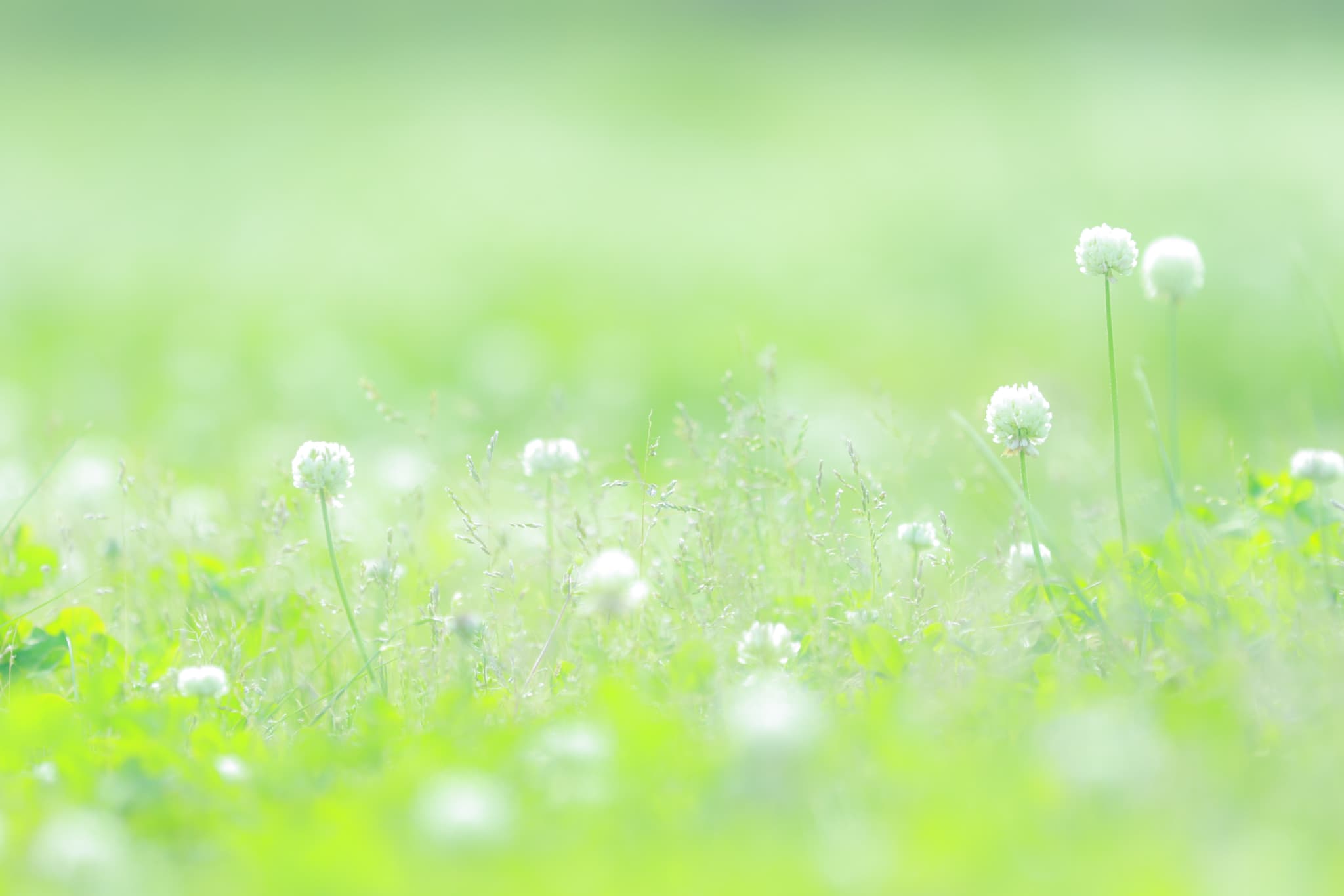 キービジュアル